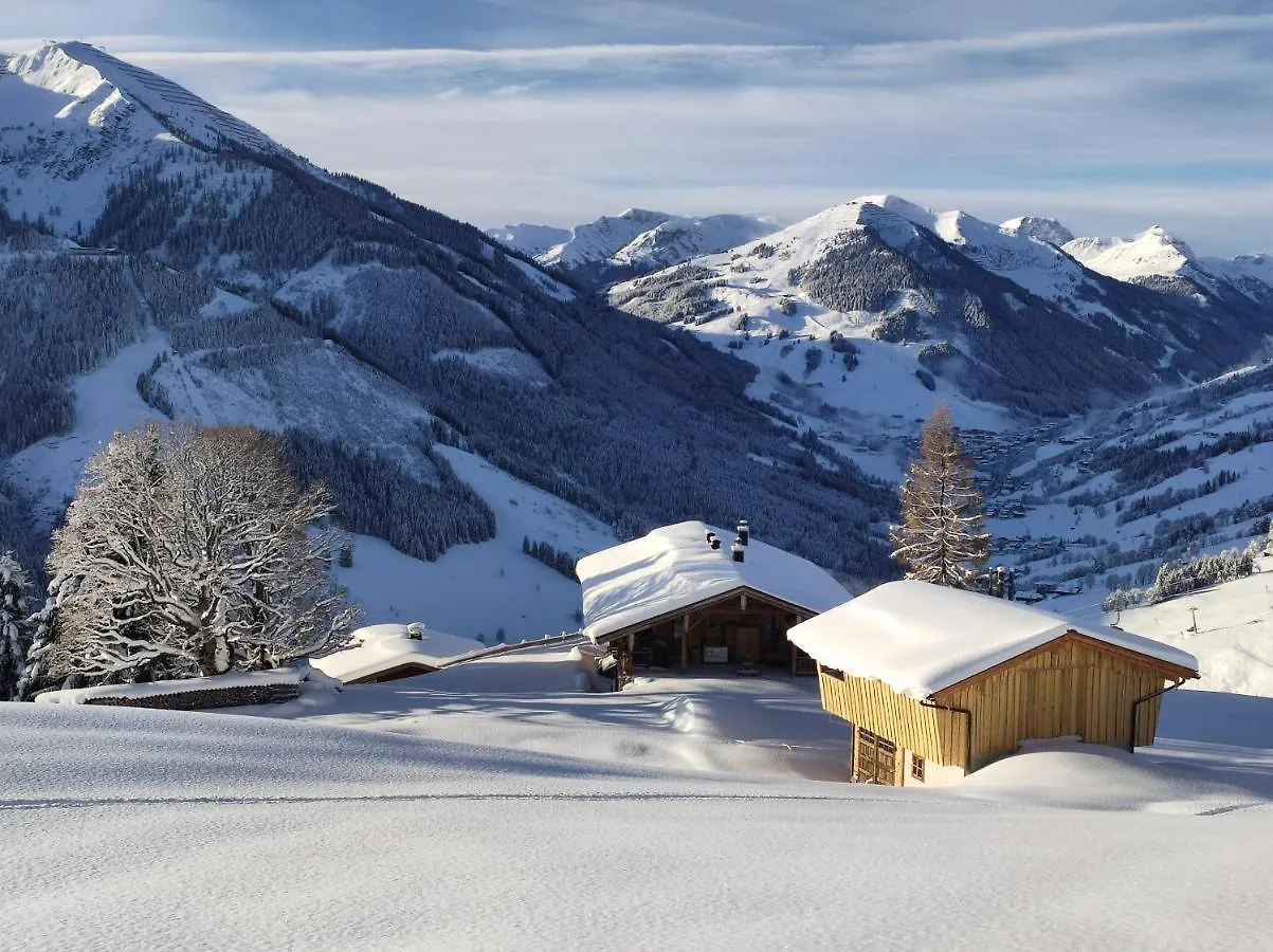 Dağ evi Sinnlehen Alm Saalbach-Hinterglemm